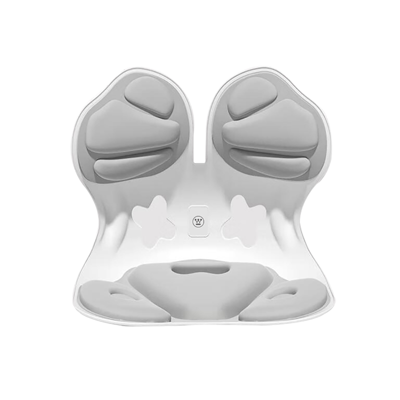 西屋（Westinghouse） WJZ-K1 坐姿椅 人体工学久坐神器靠背 浅灰色（单位：个）