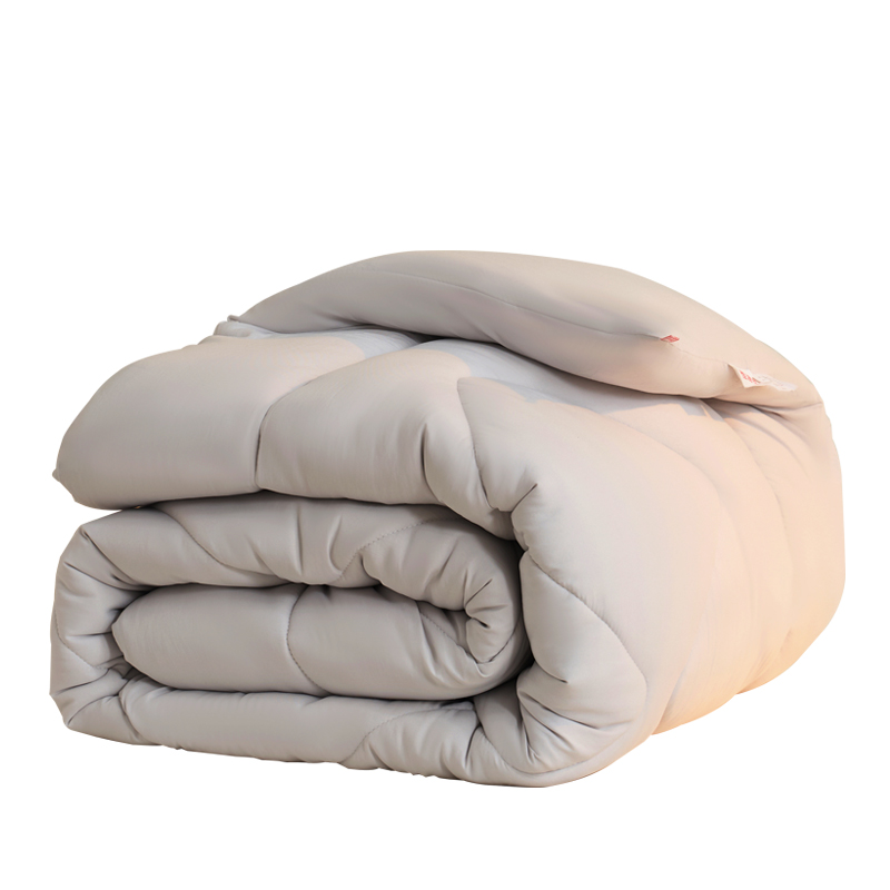 恒源祥 抗菌磨毛 200*230cm 冬被 200*230cm 浅灰（单位：床）
