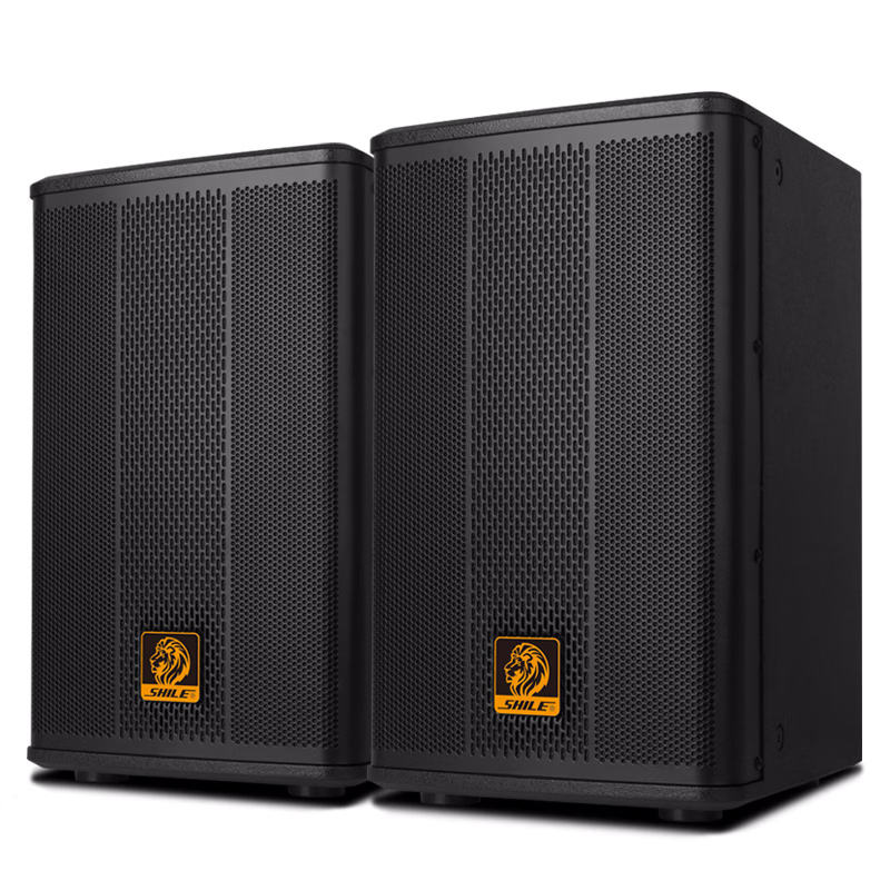 狮乐 （SHILE） 8寸8&Omega;定阻音箱 BM-8 130W会议音箱 曜石黑（单位：对）