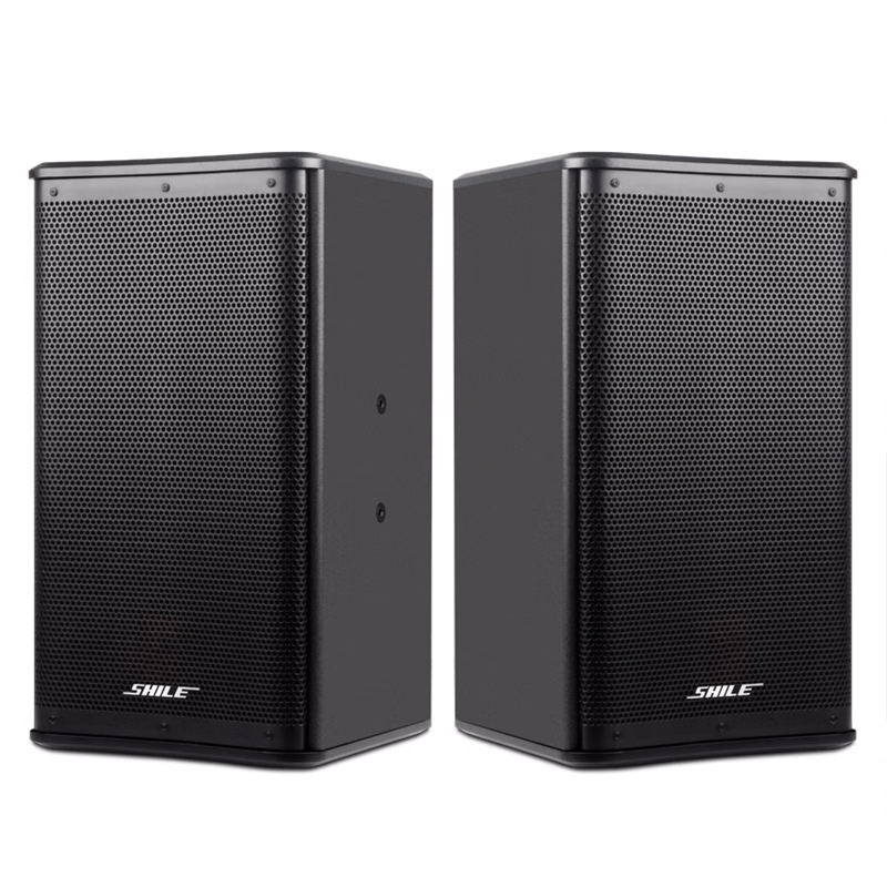 狮乐 （SHILE） BX-110 120W会议音箱 10寸6&Omega;定阻音箱 曜石黑（单位：对）