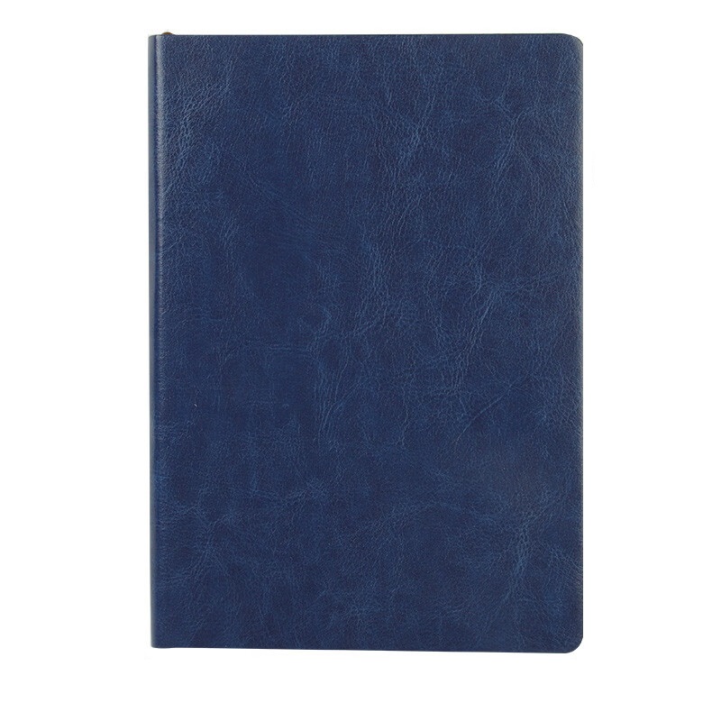 新绿天章 P0984 150mm*210mm 商务皮面本 蓝色（单位：本）