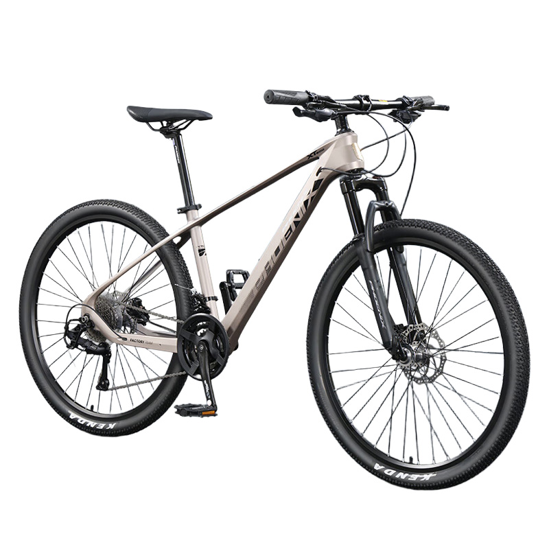 凤凰 XT800 26英寸 27速山地自行车  熔岩灰（单位：辆）