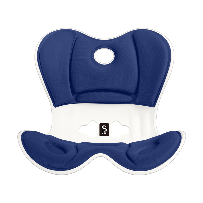 思菲其 S21 1.2kg*1个 护腰坐垫靠背 运动蓝（单位：个）