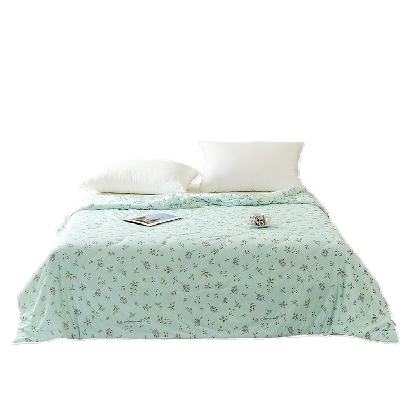 罗曼罗兰（ROMROL） 百草柔香R-xb003 150*200cm 凉感丝夏被 天蓝色（单位：床）