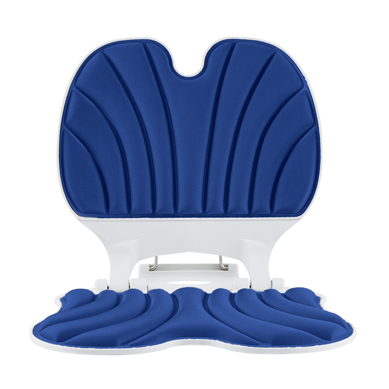 思菲其 S05 2.2kg*1个 护腰坐垫靠背  蓝色（单位：个）