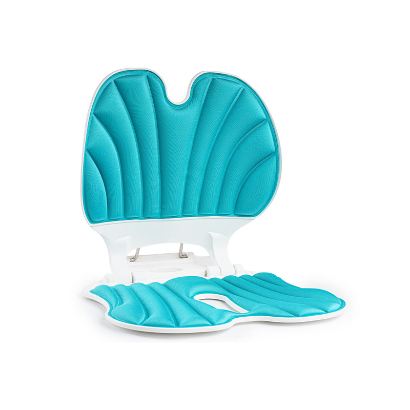 思菲其 S05 2.2kg*1个 护腰坐垫靠背 湖蓝色（单位：个）