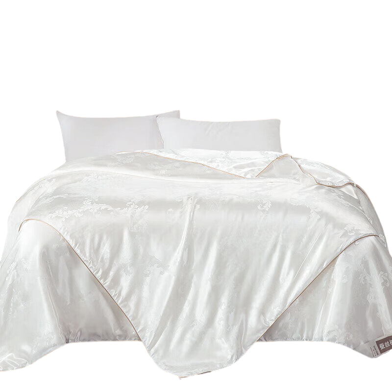 恒源祥 HCSB04 双人 A类抗菌大提花蚕丝子 200*230cm 白色（单位：条）