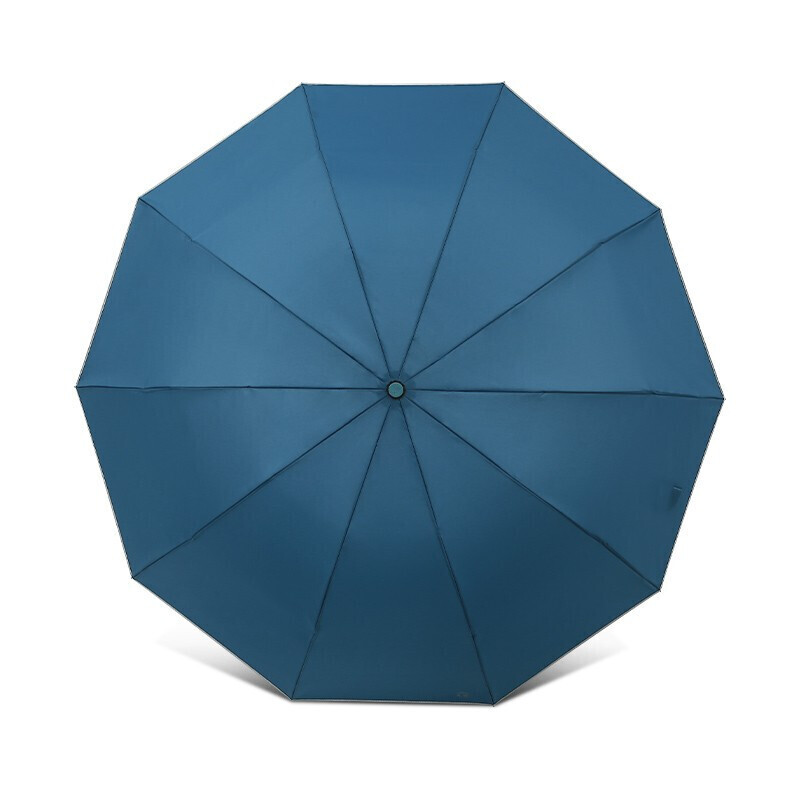 天堂 30845EYZ 10骨 晴雨伞 摩卡蓝（单位：把）