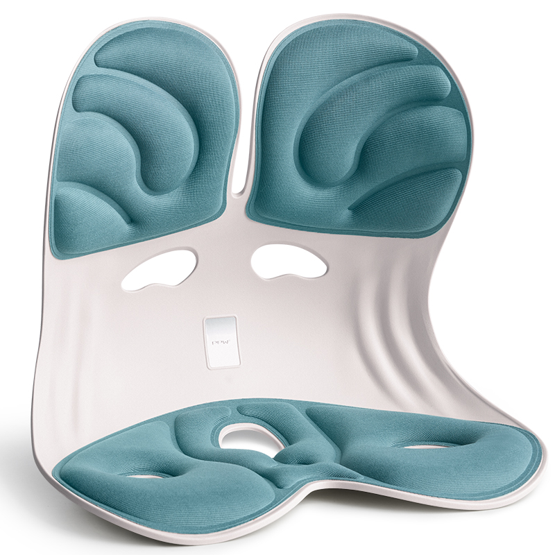 PPW 塑形座椅垫护腰靠垫 护腰坐垫腰靠花瓣坐垫 425*320*360mm  蓝色（单位：个）