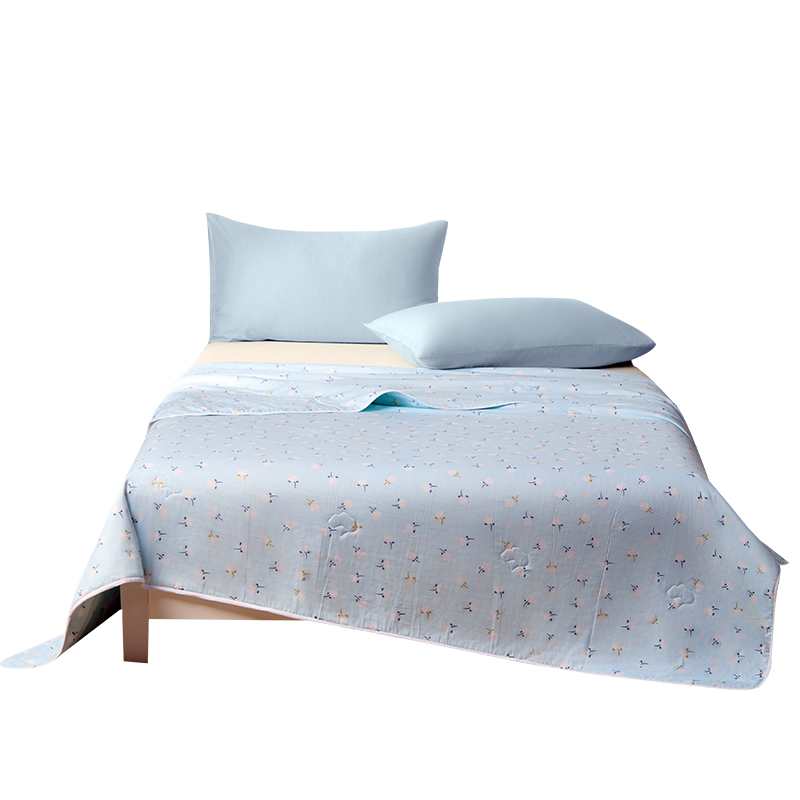 恒源祥 HYX679BZ 双人（1.5-1.8米床） 全棉抗菌A类棉花被 200*230cm 棉朵朵（单位：条）