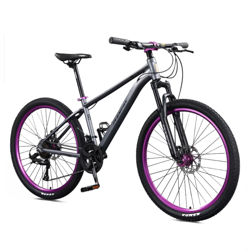 凤凰 猛士 26英寸 24速山地自行车  灰色（单位：辆）
