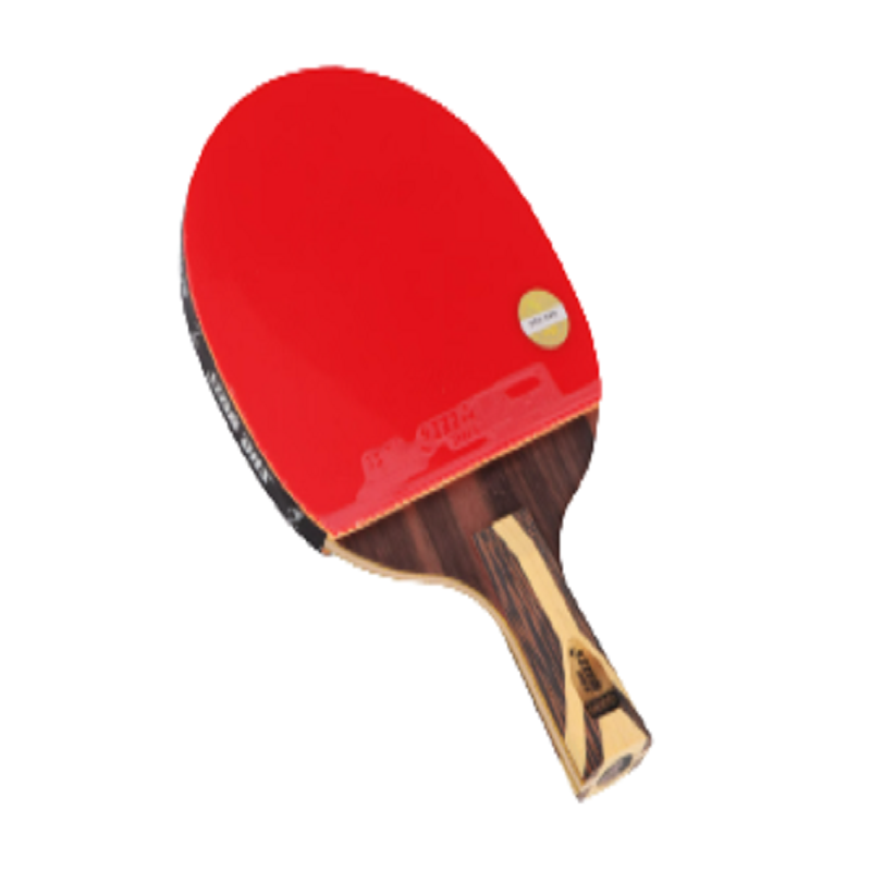 红双喜（DHS） DHS狂飚九星乒乓球拍直拍 H9006 245*150mm 红色（单位：支）