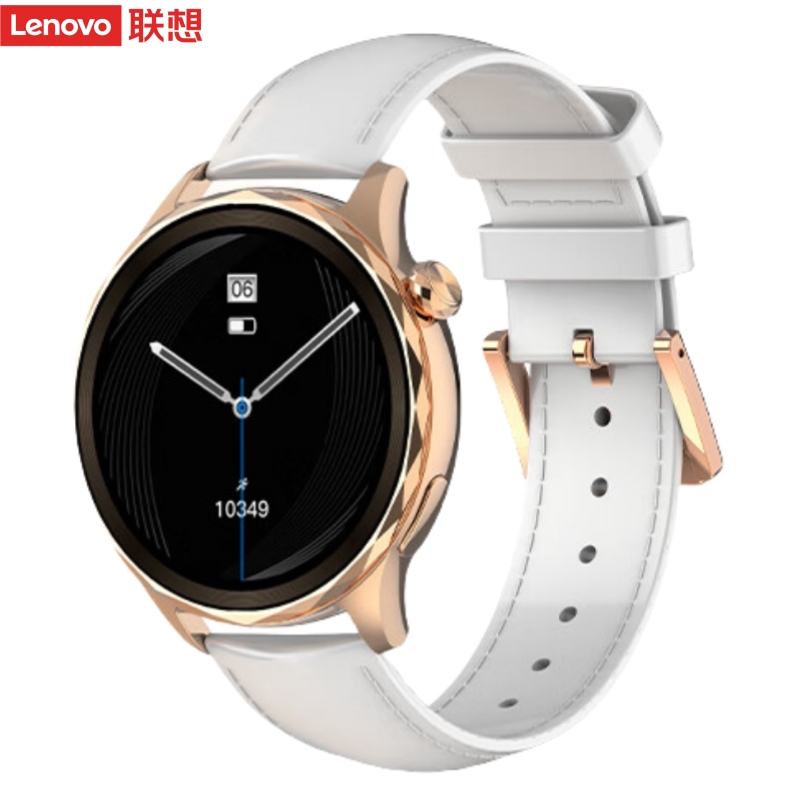 联想（Lenovo） 智能手表 L-SWAW102 260mAh 曜石金（单位：块）