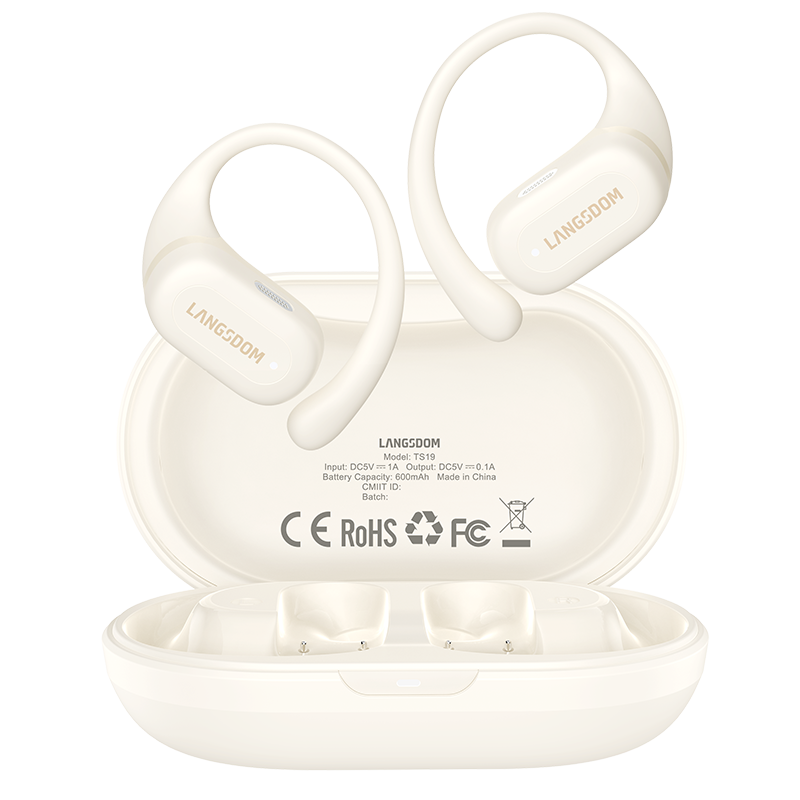 兰士顿 开放式运动蓝牙耳机 TS19 电池容量40mAh*2/600mAh 灵动白（单位：对）