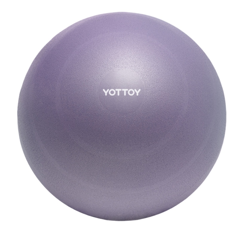 YOTTOY 训练防爆加厚瑜伽球 Y02010C007055 55cm  浅雾紫（单位：个）