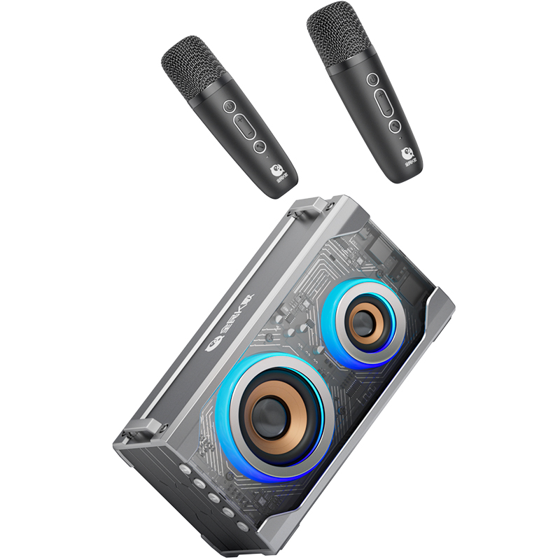 全民K歌 分体式K歌音箱 YZ31 3600mAH  黑色（单位：套）