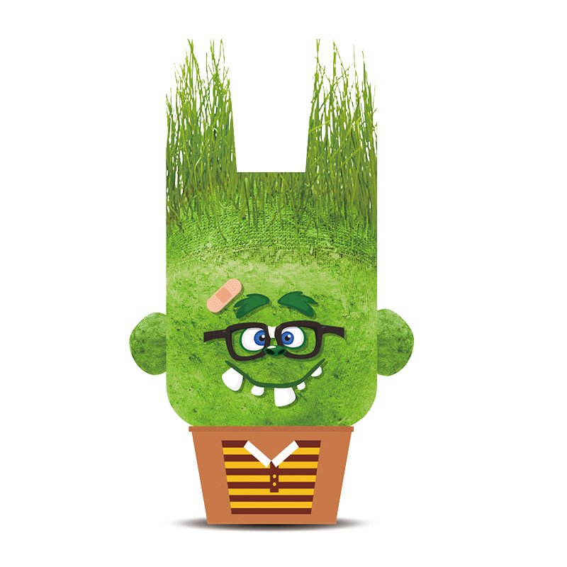 Hape 儿童种植桌面浇水头上长草小盆栽 848102 约0.2kg 绿色（单位：盒）