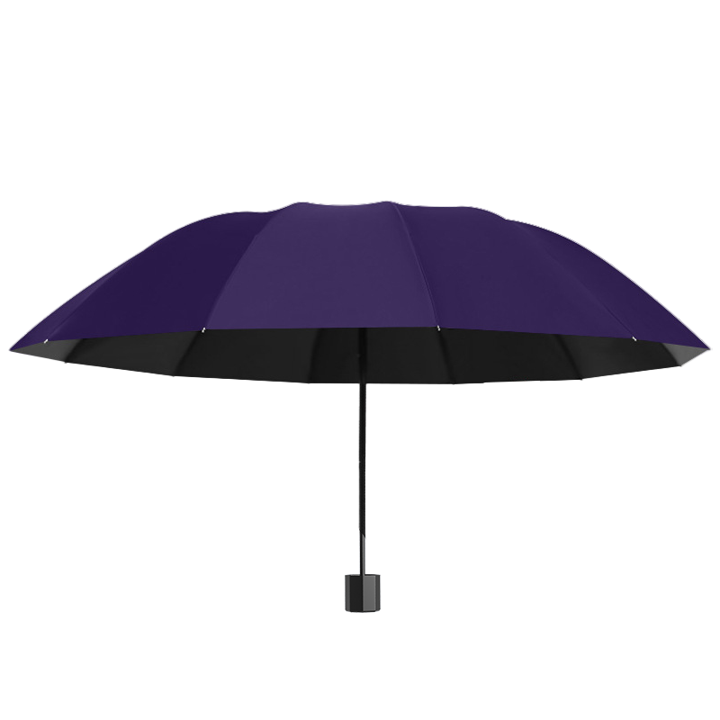 丰懋 男女商务黑胶防晒遮阳加大号太阳伞晴雨两用雨伞 FXYB19 75*125cm  紫色12骨2-3人大伞（单位：把）