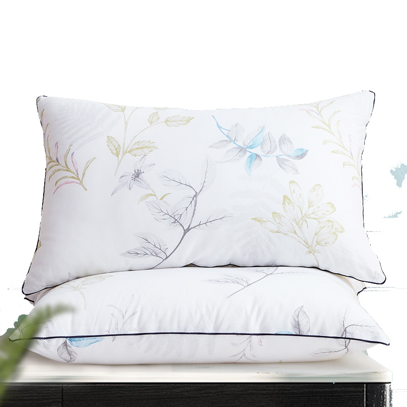 梦洁美颂 玻尿酸亲肤枕 1050301305 48cm*74cm*26cm*2个 白色（单位：对）