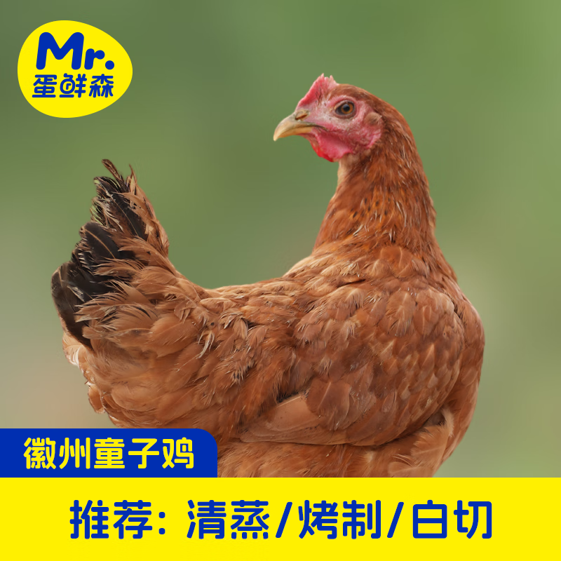 蛋鲜森 蛋鲜森无抗徽州童子鸡1000g装1只装/2只装 ZH138 1000g&plusmn;100g/只*2只  黄色（单位：只）