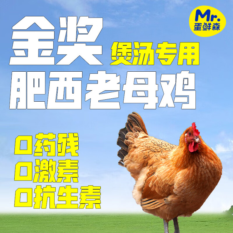 蛋鲜森 蛋鲜森金奖肥西老母鸡 ZH045 1kg&plusmn;100g/只  无色（单位：只）