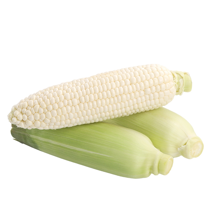 食欲跳动 清脆甜嫩，唇齿留香 牛奶水果玉米 3斤装（约4-7根）  本白色（单位：件）