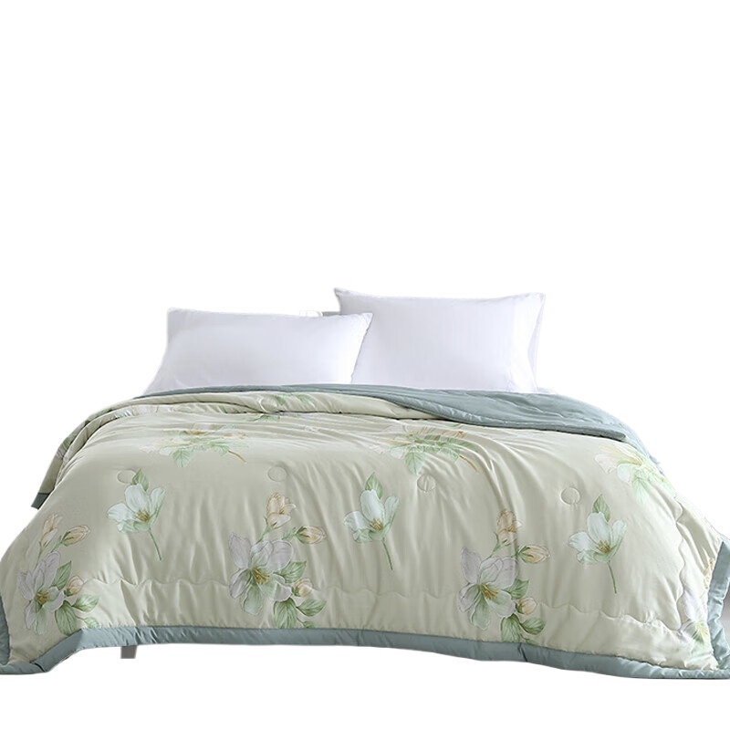 博洋宝贝（Beyond Kids） 可水洗亲肤七孔夏凉被 BYXW221-300步生青莲 150*200cm 绿色（单位：床）