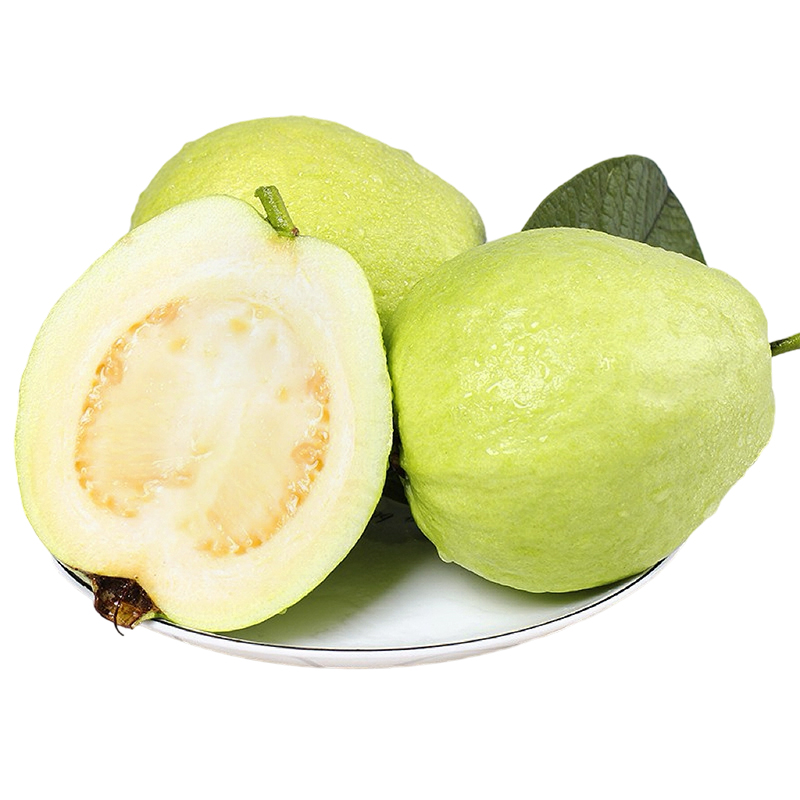 食欲跳动 软糯香甜 肉质绵密 福建多芭胺奶油白心芭乐 3斤彩箱（约6-9个） 混色（单位：箱）