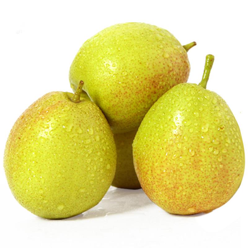 希礼盛 新疆库尔勒香梨 5斤装 特级 （120g以上） 松石绿（单位：件）