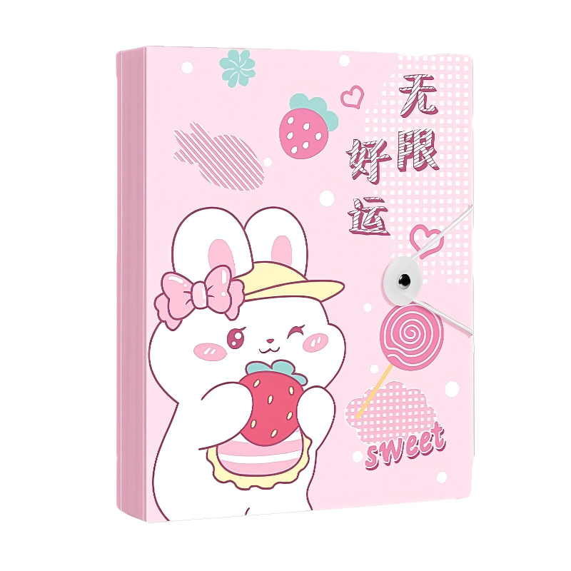 童益星 文件夹 无限好运 30页  粉色（单位：个）