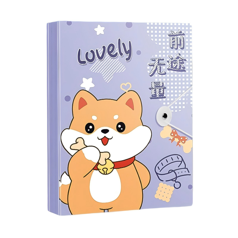 童益星 文件夹 前途无量 30页  紫色（单位：个）