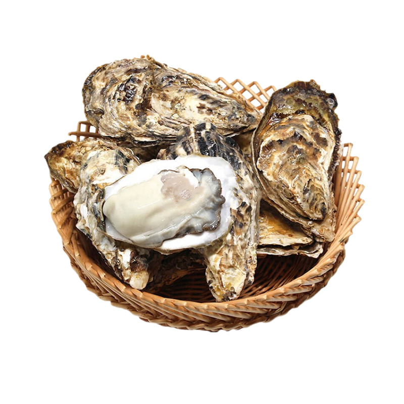 食欲跳动 鲜嫩肥美 山东乳山生蚝 5斤（单蚝约3-4两) 白色（单位：箱）