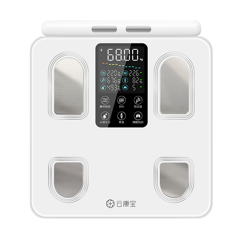 云康宝 云康宝八电极体脂秤专业精准健身设备 体脂称人体成分分析仪 CS10E 续航时间3个月 白色（单位：台）