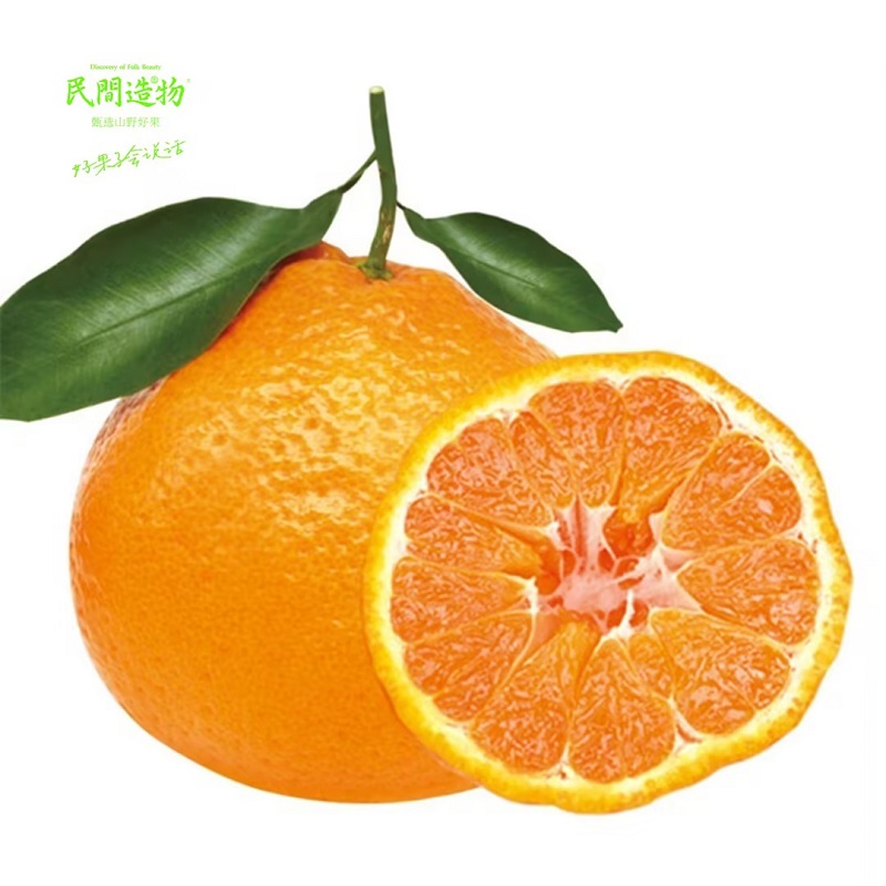 民间造物 春见粑粑柑 大果 4.5斤  玫瑰金（单位：箱）