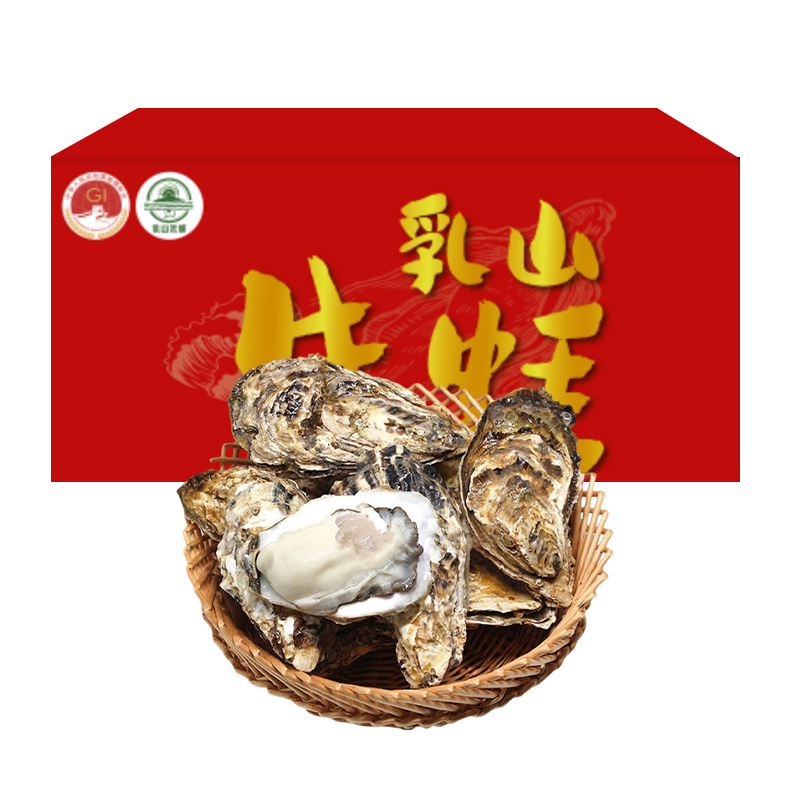 食欲跳动 鲜嫩肥美 山东乳山生蚝 10斤含箱礼盒装（单蚝约2-3两 ) 红色（单位：盒）