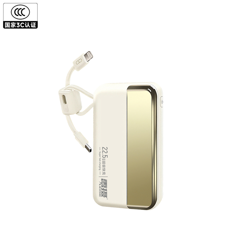 雷摄（LEISE） 移动电源 超薄便携 快充自带线 KP16 10000mAh 米白色（单位：个）