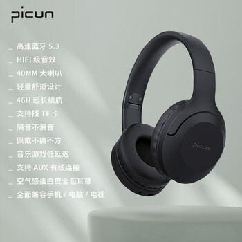 品存（picun） 无线蓝牙耳机 B-01S 188g 黑色（单位：个）