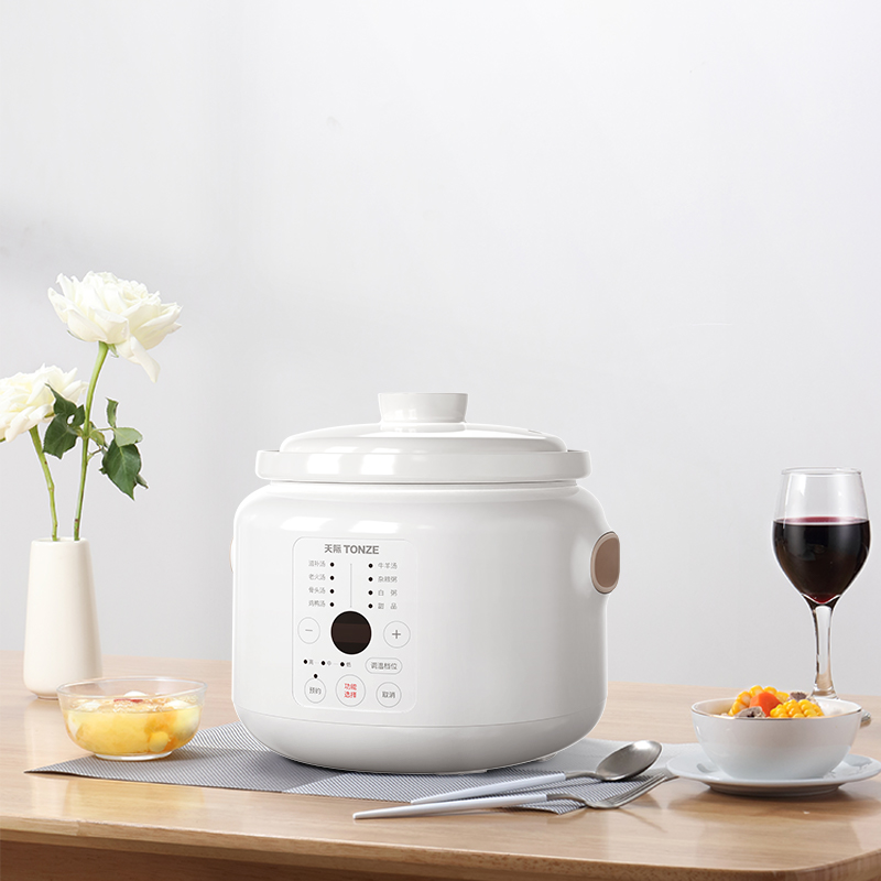 天际（TONZE） 电炖锅DGD20-20ADD/30-30ADD DGD20-20ADD 2L 白色（单位：台）