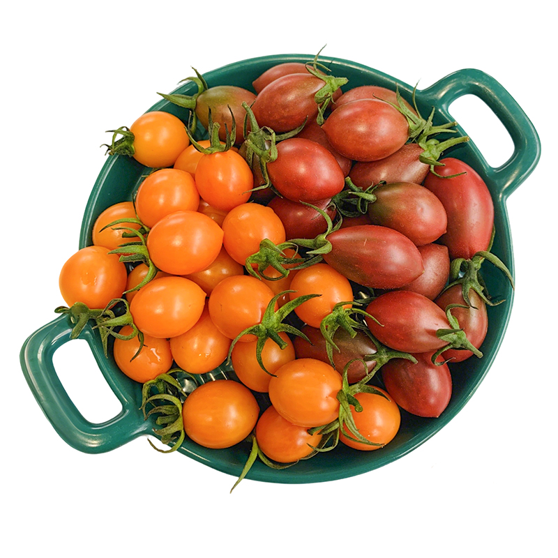 食欲跳动 清脆酸甜两种滋味 一口爆汁 福建火山黄紫双拼番茄 5斤礼盒装（单果约6g+）  红色（单位：盒）