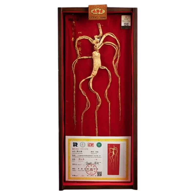 九珍堂 野山参礼盒 3级 1枝/盒 黄色（单位：盒）