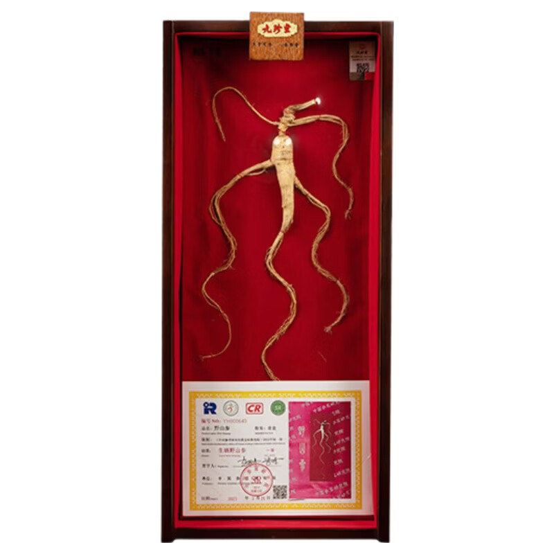 九珍堂 野山参礼盒 一级 1枝/盒 黄色（单位：盒）