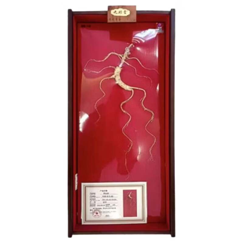 九珍堂 野山参礼盒 特级 1枝/盒 黄色（单位：盒）