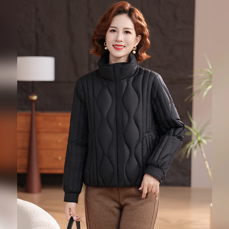 丰讯 女士新款时尚立领保暖显瘦短款妈妈装鹅绒羽绒服外套 FXYL2588 4XL 185 黑色（单位：件）