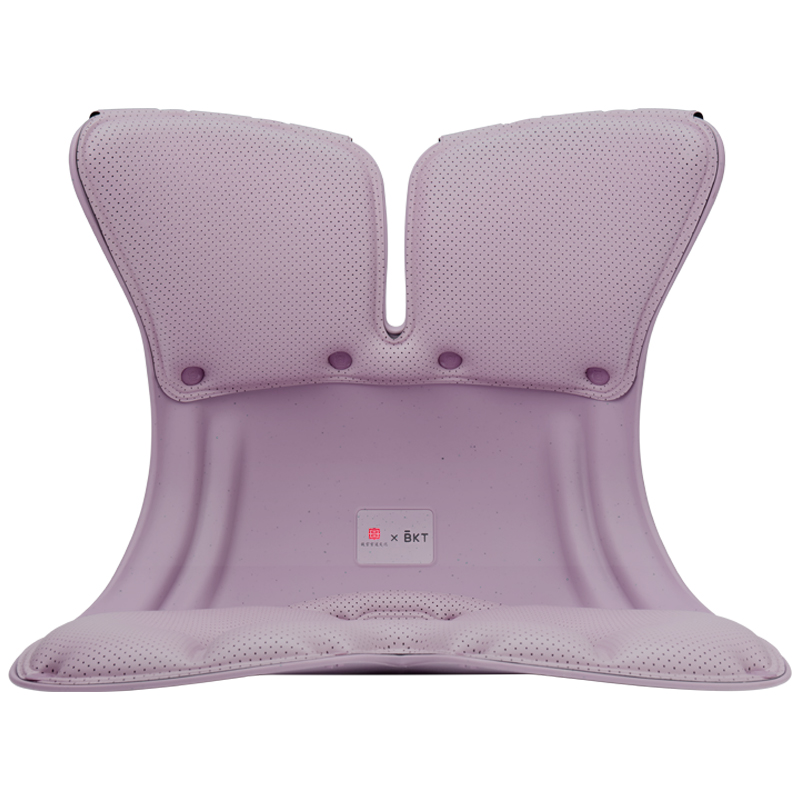 BKT 人体工学护腰坐姿椅 LP03 加大版 1.14kg 适合体重：150以下 香芋紫（单位：个）
