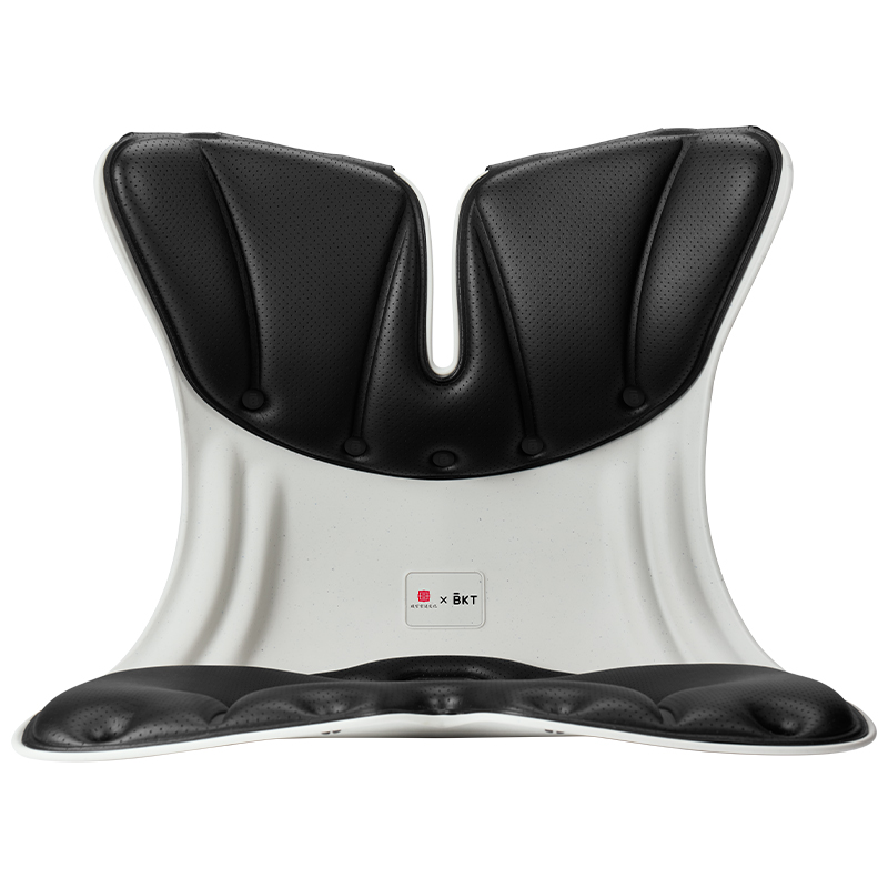 BKT 人体工学护腰坐姿椅 LP04 超大版 1.39kg 适合体重：150以上 神秘黑（单位：个）