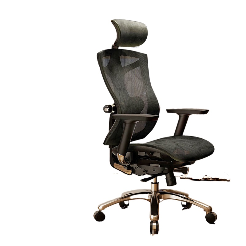 西昊（SIHOO） 大体型人体工学椅电脑椅子老板办公椅网布转椅 V1-标准款-不带脚踏 承重300斤  黑色（单位：张）