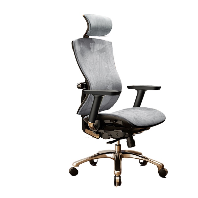 西昊（SIHOO） 大体型人体工学椅电脑椅子老板办公椅网布转椅 V1-标准款-不带脚踏 承重300斤 灰色（单位：张）