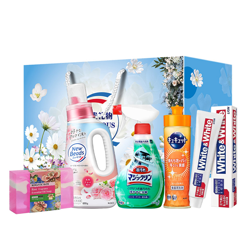 花王（KAO） /狮王/娜野尚家庭清洁 组合 1790g 混色（单位：组）