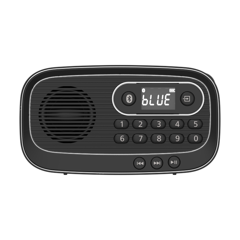 飞利浦（PHILIPS） 便携收音机音箱/插卡蓝牙音箱 TAR1100 蓝牙5.0  黑色（单位：个）