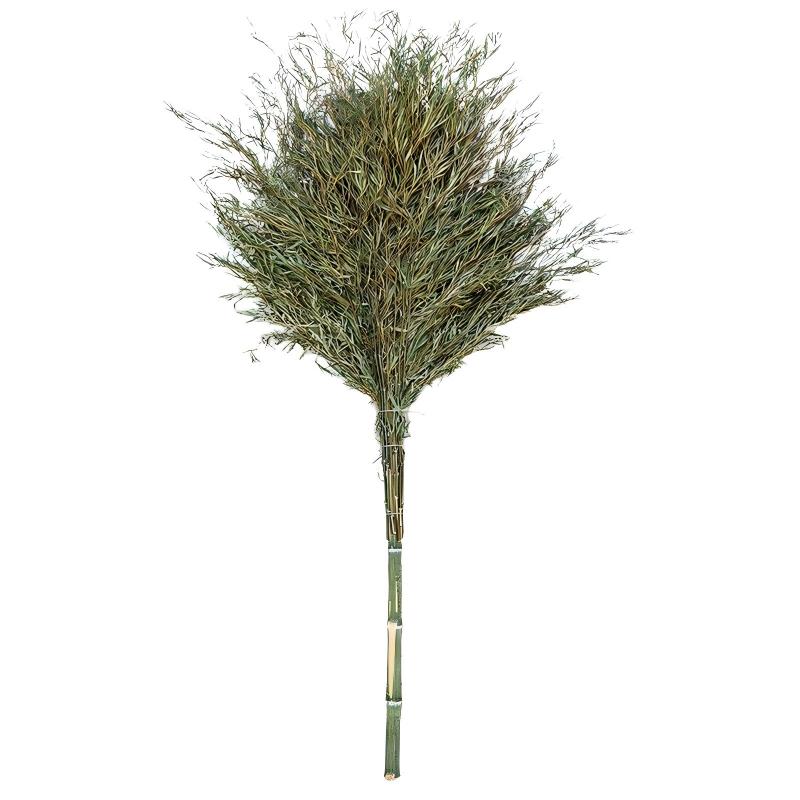 驰色 竹竿把带叶2.2m CS-CT 022 1把  无色（单位：把）